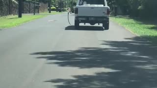 Car Takes Gas Pump for a Drive