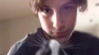 Grey white cat bites boys face