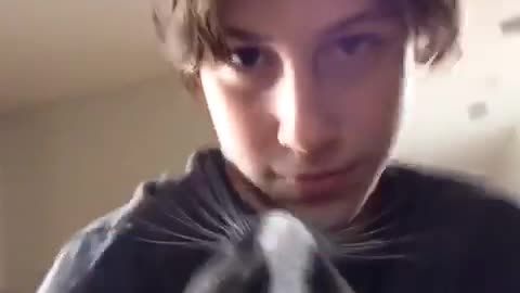 Grey white cat bites boys face