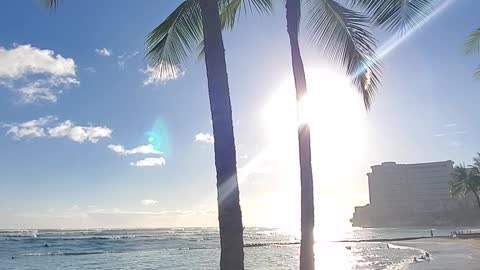 Sunshine Waikiki