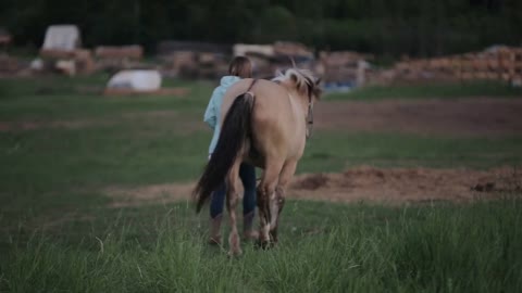 A young woman leads a horse outdoors. Back view. Blurred background