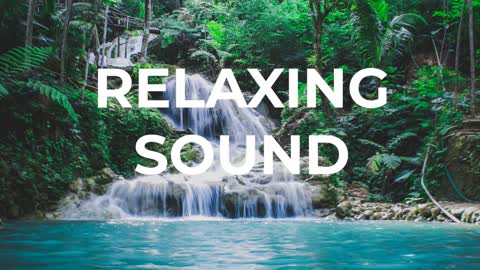 Forest Stream Natural Sound for Relaxing/Sleeping/Calm Mind