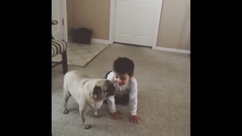 Pug Destroys Little Kid In Butt Spinning Contest