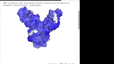 Graveyard Shift Ep29 (A/Brevig Mission/1/1918 (H1N1)--H1 model with Fab) by Dr. Paul Cottrell