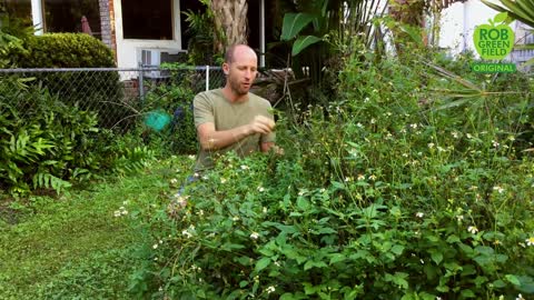 He Grew and Foraged 100% of My Food for an Entire Year!