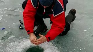 Fisherman's Whole Arm Goes in the Hole