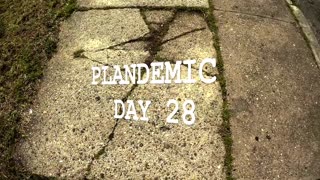 Plandemic Northeast Philly -- Day 28