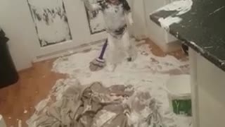 Little boy uses mop to create spectacular paint mess in the kitchen