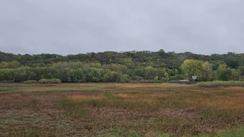 Rainy Autumn Day in the Minnesota River Valley
