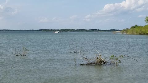 Sunny day at the lake