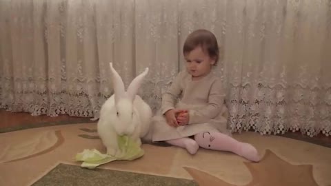 Cute_Baby_Feeding_a_Rabbit
