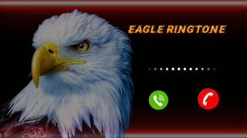 Rich Eagle Ringtone | Dubai eagle Ringtone | Bird sounds Ringtone | Ringtone for Mobile