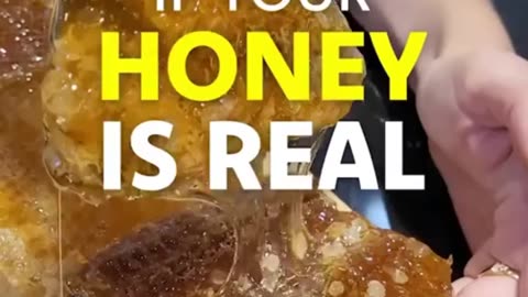 Is Your Honey Real❓ Test it