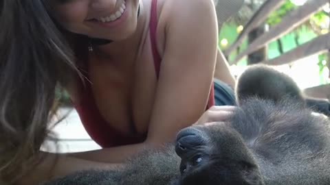 O dia que fiz amizade com uma macaquinha que vive completamente livre no seu habitat natural