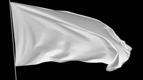 Protestors Should Use a White Flag?