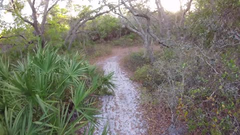 Rode Walsingham Park for 1st time! Fun on some janky MTB trails in Clearwater FL!