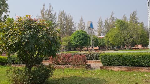 Pink elephants in Udonthani