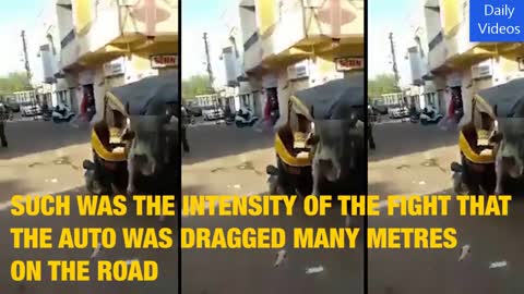 Amazing Bull Fight Breaks Down Auto Rickshaw