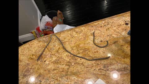 Granite Surface Solutions - (909) 363-8486