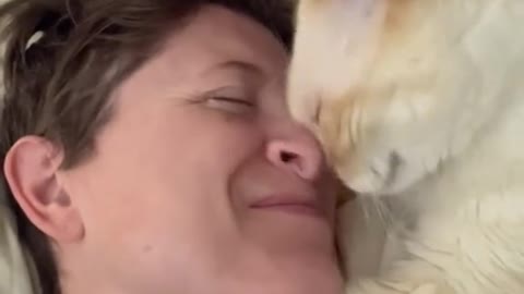 Cat wants nose kisses from owner