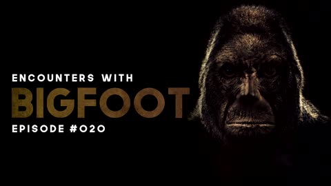 6 ENCOUNTERS WITH BIGFOOT - EPISODE #020