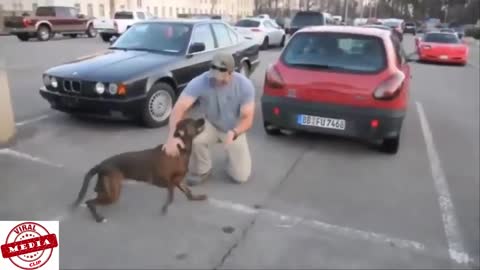 Dogs Welcoming Soldiers Home Compilation Part_5