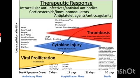 Dr. PETER MCCULLOUGH - Clinical Rationale for Early Ambulatory Treatment of COVID-19