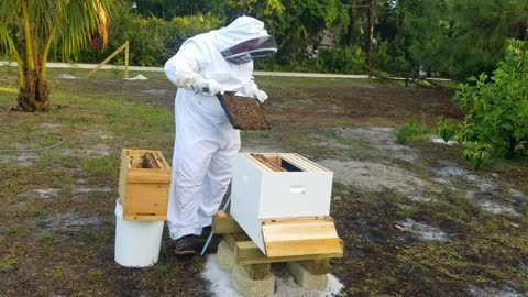 Loading Bees From NUC into Hive