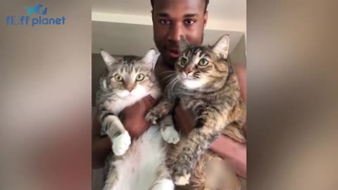 #Dogs #Angry #Cats Angry - Funny Dogs And Cats of TikTok 😮