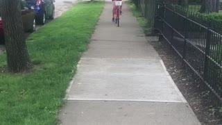 Girl rides red bike down sidewalk with black chihuahua in basket