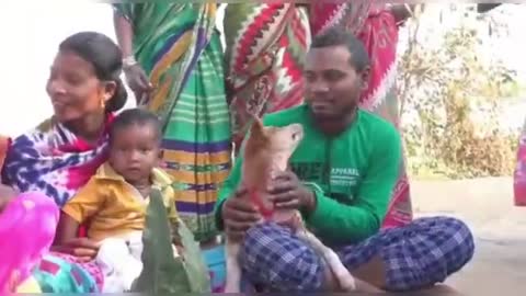6-year-old and toddler marry dogs to ward off bad omen in eastern India