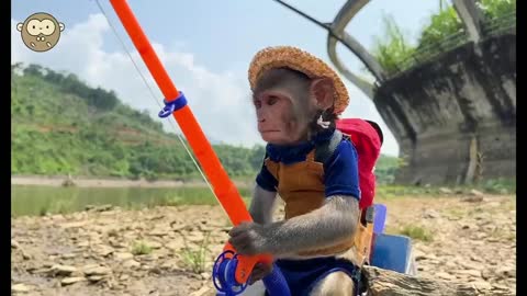 Daily Monkey Outdoor Fishing Season 2
