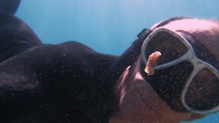 Aquatic Animal Dances in Front of Diver