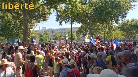 manif samedi 21 août à Valence avec comptage des participants et défilé du cortège en avance rapide