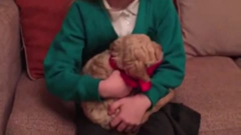 Little girl dissolves into tears of joy when she gets a real puppy