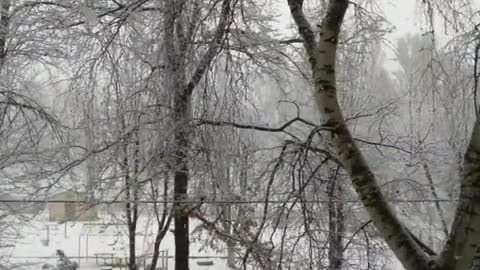 Snowfall Cherkasy