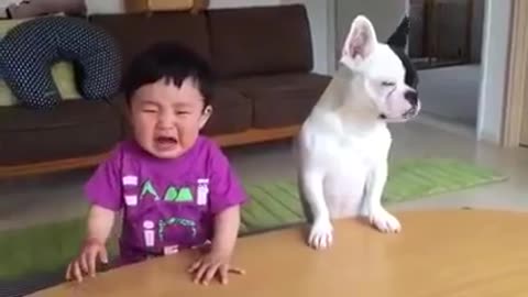 Whatsapp funny videos 2017 - Most funny DOG AND KIDS Videos 2017