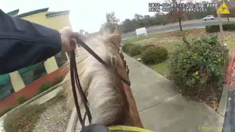 Folsom Police Mounted Unit chases suspects accused of stealing from outlet mall