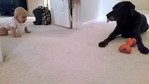 Baby's first crawl with her dog... what a cute ending!