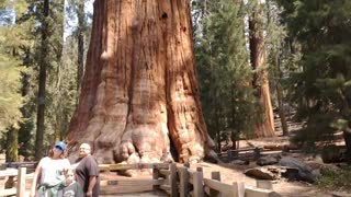 SEQUOIA, we made it!