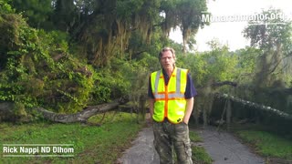 Rick Nappi Tree Down , Trapped #NappiReport