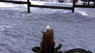 Flame-licked Snow