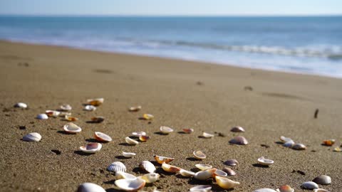 Lonely beach