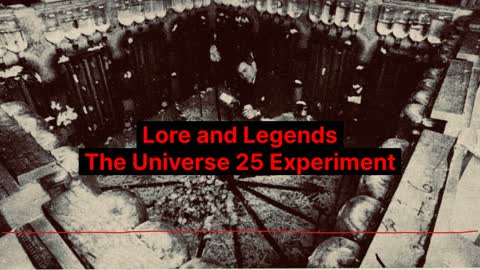 The Universe 25 Experiment