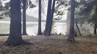 Campsite #11 – 3rd BEST Drive-In Site – Link Creek Campground – Suttle Lake – Central Oregon – 4K