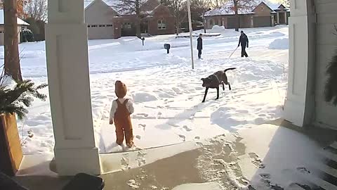 Rosie the Dog vs. Toddler: Quem Vence no Snowy Matchup