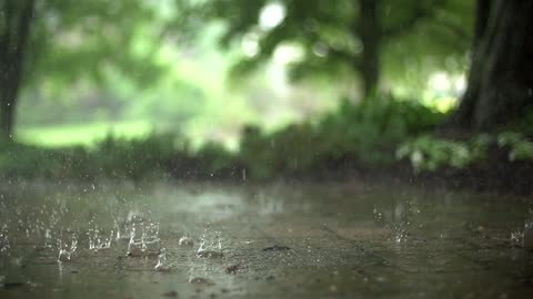 Bd rain nature