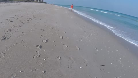 Man Frees Shark From Fishing Line With Bare Hands