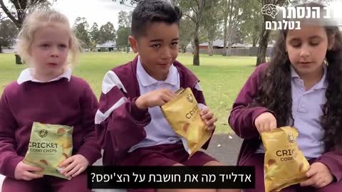 באוסטרליה מנרמלים אכילת חרקים: חטיפי צ'יפס המיוצר מחלקי צרצרים וחרקים הוכנסו לכ-1,000 בתי ספר