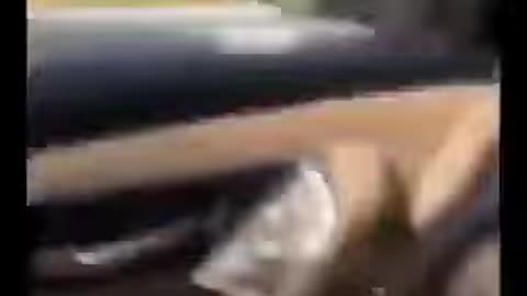 a guy on the road throws a snake in a girl's car